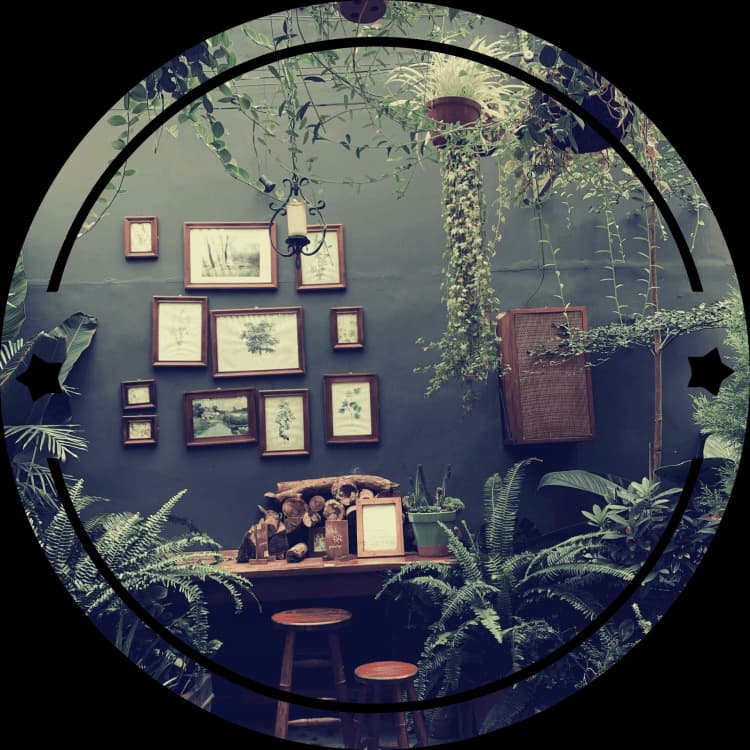 quiz image